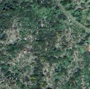 Foto Terreno agricolo in Località Capoluogo e Il Piano, Capraia Isola