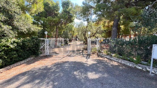 Foto Residence in Località Lama le Canne snc, Vieste di 10000 m² in vendita
