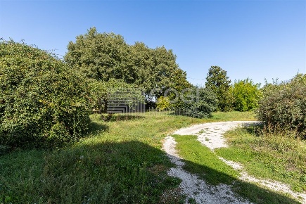 Foto Rustico in Via provinciale lugo, Solarolo di 420 m² con 4 locali