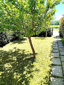 Foto Casa indipendente a Borgo San Lorenzo di 61 m² con 3 locali in vendita