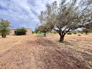 Foto Terreno agricolo in contrada serra caracara, Comiso di 26509 m²