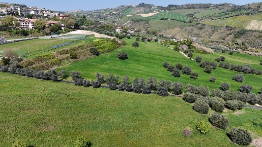 Foto Terreno residenziale in Contrada Bora Ragnola, Monteprandone