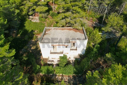 Foto Rustico in Localita' Castagneto SNC, Vieste di 640 m² con 24 locali