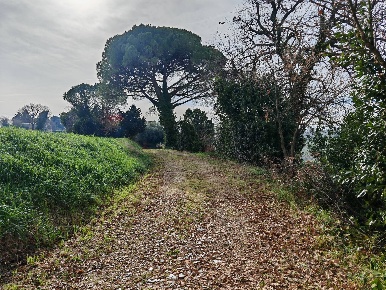 Foto Rustico in contrada castelnuovo 114, Recanati di 144 m² con 4 locali