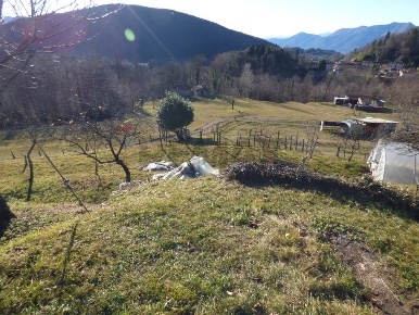Foto Terreno residenziale in via xx settembre, Dumenza Centro di 2240 m²
