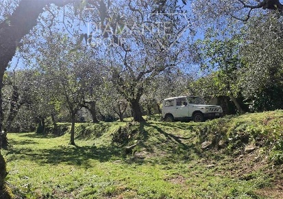 Foto Terreno agricolo a Panicale Missiano di 60 m² in vendita