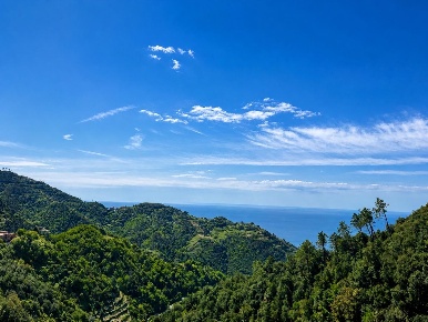 Foto Case semi ndipendenti a Vernazza Centro di 231 m² con 12 locali