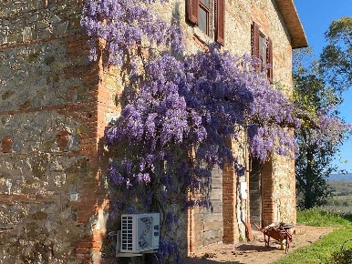 Foto Agriturismo a Gavorrano con 14 locali in vendita
