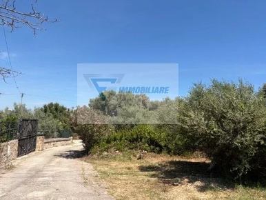 Foto Terreno agricolo in Via Attilio Regolo, Siracusa Belvedere - Tremmilia