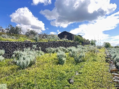 Foto Terreno agricolo in spinelli s.n, Santa Maria di Licodia di 30000 m²