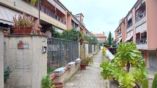 Foto Appartamento a Grosseto Regioni di 53 m² con 2 locali in affitto