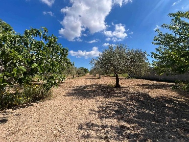Foto Terreno agricolo in Contrada Cozzi, Pachino di 11000 m² in vendita