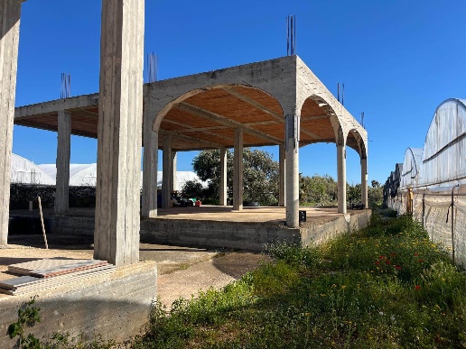 immagine annuncio 2 di 6