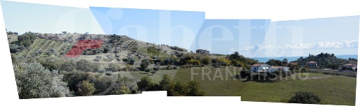 Foto Terreno residenziale in Via Tassenara snc, Tortoreto Centro di 3500 m²