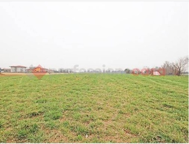 Foto Terreno agricolo in Via Arconate 0, Arconate Centro di 8850 m²