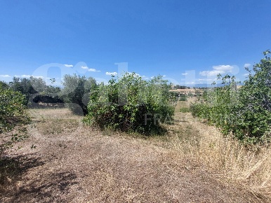 Foto Terreno residenziale in Via Quaresima snc, Mosciano Sant'Angelo Centro
