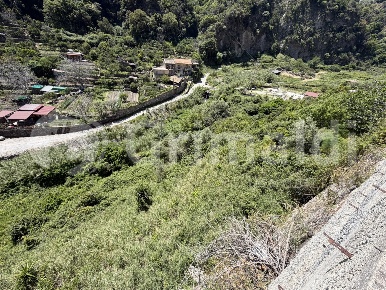 Foto Terreno agricolo in Via Provinciale 38 snc, Messina Mili di 11727 m²