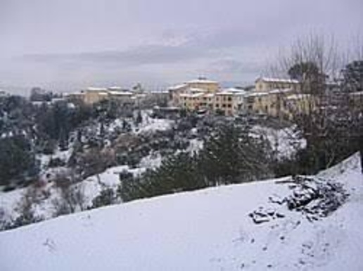 immagine annuncio 3 di 4