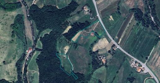 Foto Terreno agricolo a Lajatico di 28771 m² in vendita