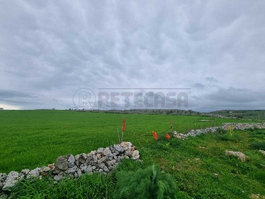 Foto Terreno agricolo in Strada Provinciale 157, Altamura di 11000 m²