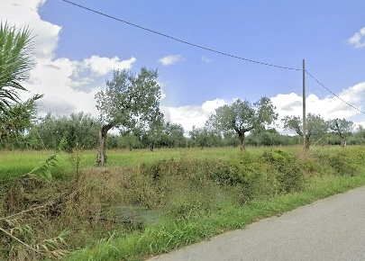 Foto Terreno agricolo in Località del Mondiglio le Morelline, Cecina