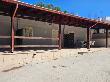 Foto Appartamento in Sant'Isidoro, Porto Cesareo Centro di 50 m² in affitto
