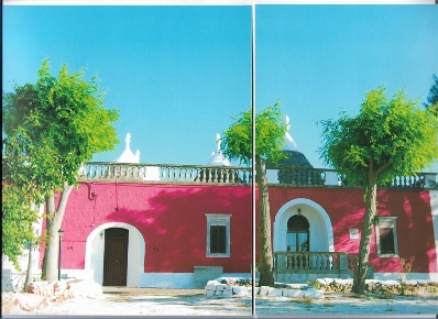 Foto Rustico in VIALE TUPPARELLO, Fasano Selva di Fasano, Laureto di 218 m²