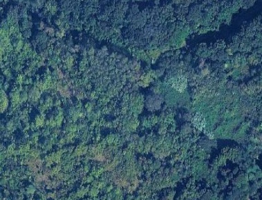 Foto Terreno agricolo in Via del Giglio, Collesalvetti di 12660 m²
