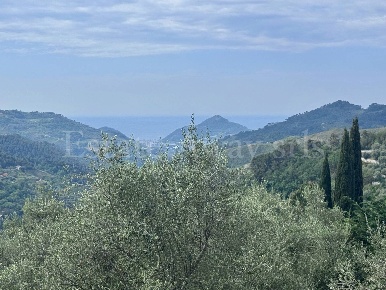 Foto Terreno residenziale in Strada Santa giusta, Perinaldo di 4000 m²