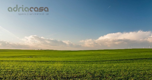 Foto Terreno residenziale in Via Provinciale, Montefiore Conca di 1450 m²