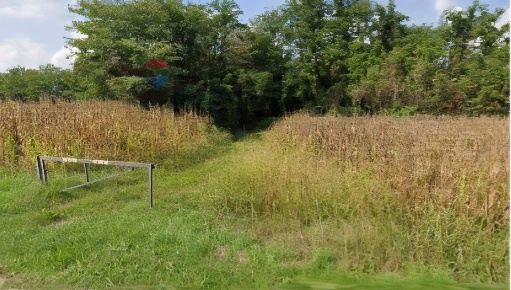 Foto Terreno agricolo in Via Fornace, Carnate di 8120 m² in vendita