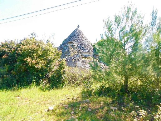 immagine annuncio 3 di 11