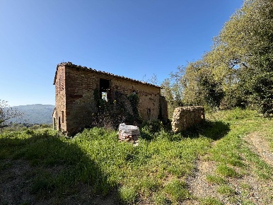 Foto Rustico a Gambassi Terme di 635 m² con 15 locali in vendita