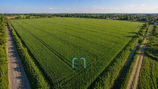 Foto Terreno agricolo in Via Villafranca 26, Mirano Mirano Paese in vendita