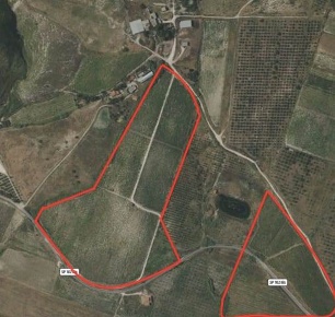 Foto Terreno agricolo a Monreale Centro in vendita