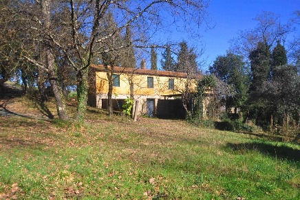 Foto Rustico a Montescudaio di 220 m² con 8 locali in vendita