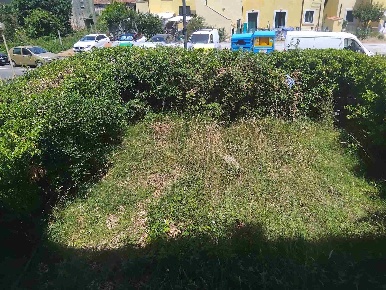 Foto Appartamento a Sarzana Marinella di 120 m² con 5 locali in vendita