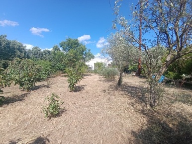 Foto Casa indipendente a Selargius di 80 m² con 4 locali in vendita