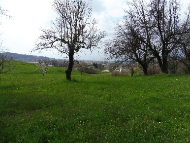 Foto Terreno agricolo in Via Termine 00, Fara Vicentino Centro di 3450 m²