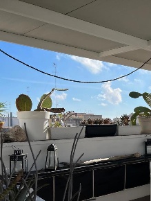 Foto Case indipendenti in Via Templari 4, Brindisi Centro Storico di 150 m²
