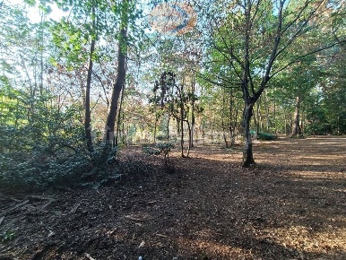 Foto Terreno agricolo in Via Giovanni Sironi, Casatenovo di 9630 m²