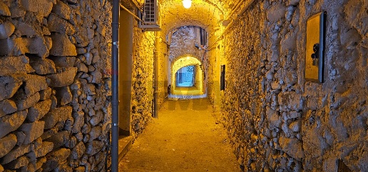 immagine annuncio 9 di 11