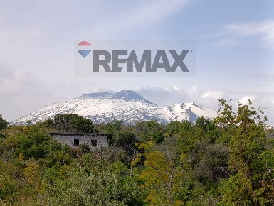 Foto Terreno agricolo in Contrada Scagliola, Belpasso di 3700 m² in vendita