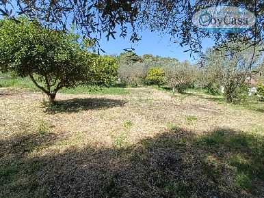 Foto Terreno agricolo in via circumlacuale, Bracciano di 2800 m² in vendita