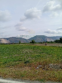 Foto Terreno agricolo in Via Ponte dei Cani, Acerra di 26015 m² in vendita