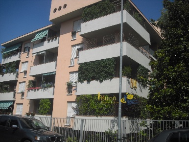 Foto Ufficio in Via Duccio Galimberti 16, Parma Stadio - Cittadella