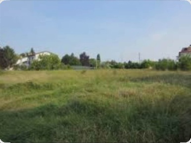 Foto Terreno edificabile a Canegrate di 1317 m² in vendita