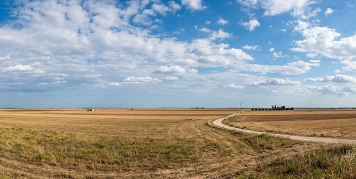 Foto Terreno agricolo a Altamura di 60000 m² in vendita