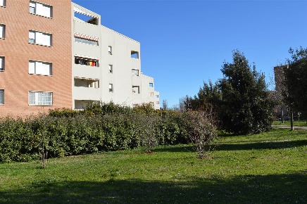 Foto Garage in via della badia, Casalecchio di Reno Centro, Garibaldi