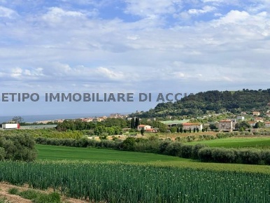 Foto Terreno edificabile a Cupra Marittima di 10000 m² in vendita